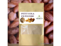 garcinia-kola-small-0