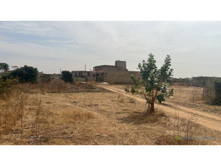 Terrain de 500m2 à vendre à Gandigal Sn