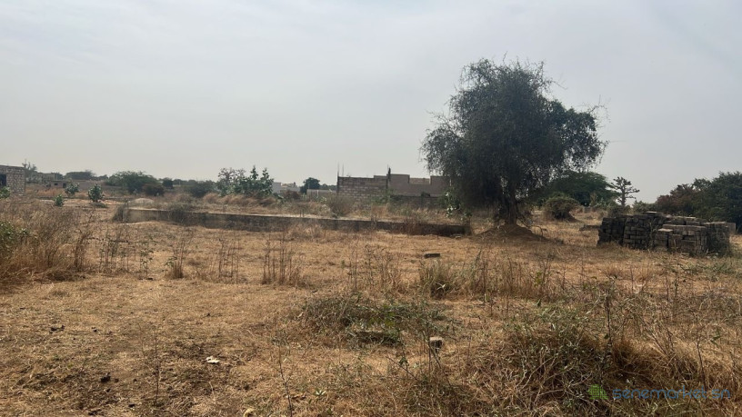 terrain-de-500m2-a-vendre-a-gandigal-sn-big-2