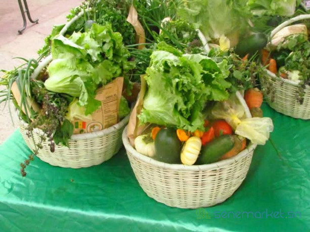 panier-bio-100-legumes-big-1