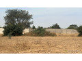 terrains-de-225-metres-carres-a-vendre-a-ndiorokh-sn-small-2