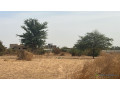 terrains-de-225-metres-carres-a-vendre-a-ndiorokh-sn-small-3