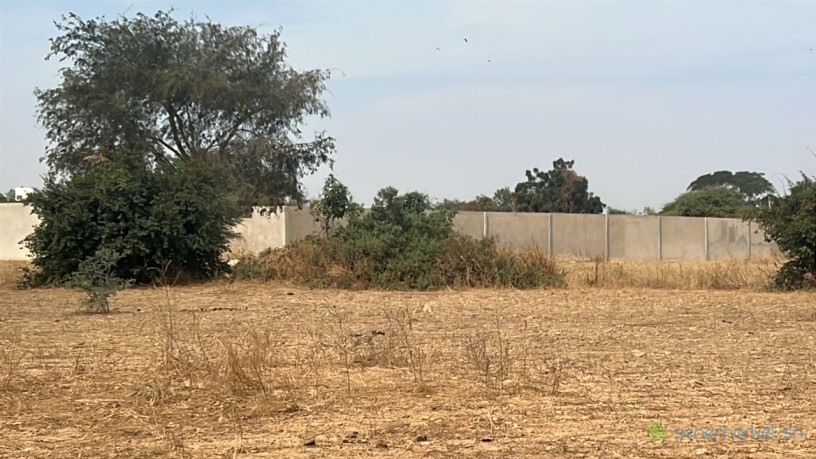 terrains-de-225-metres-carres-a-vendre-a-ndiorokh-sn-big-2