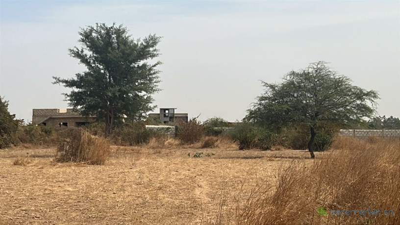 terrains-de-225-metres-carres-a-vendre-a-ndiorokh-sn-big-3