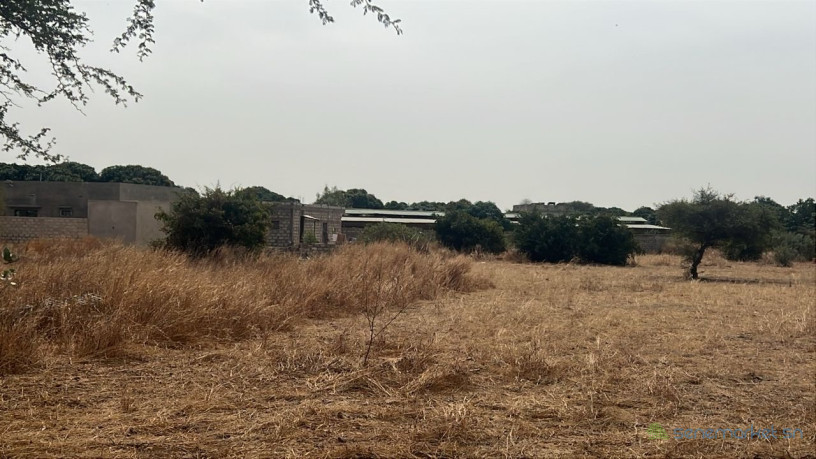 terrains-de-225-metres-carres-a-vendre-a-ndiorokh-sn-big-0