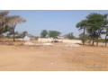 terrain-de-300m2-a-vendre-a-nianing-senegal-small-2