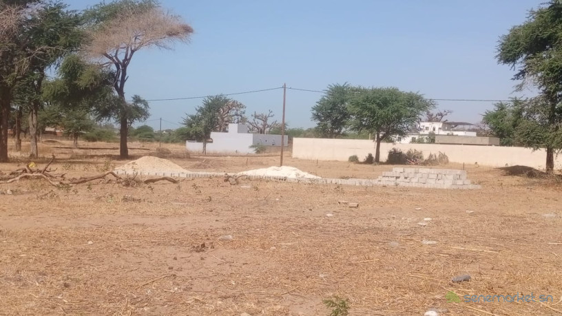 terrain-de-300m2-a-vendre-a-nianing-senegal-big-0