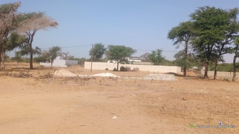 terrain-de-300m2-a-vendre-a-nianing-senegal-big-2