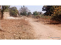 terrain-de-300-metres-carres-a-vendre-a-nianing-sn-small-2