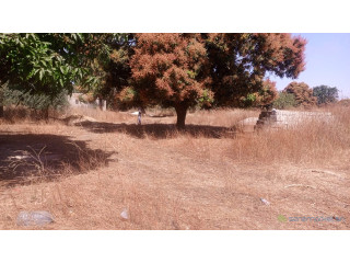 Terrain de 300 mètres carrés à vendre à Nianing Sn