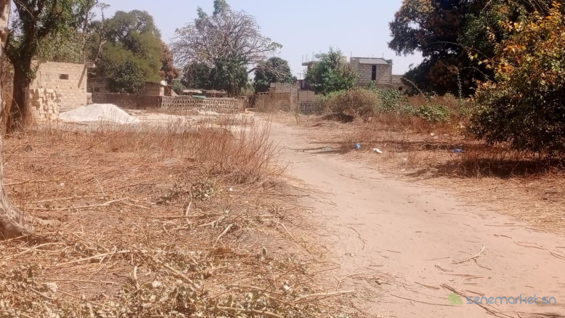 terrain-de-300-metres-carres-a-vendre-a-nianing-sn-big-2