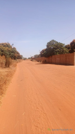 terrain-de-600-metres-carres-a-vendre-a-warang-sn-big-2