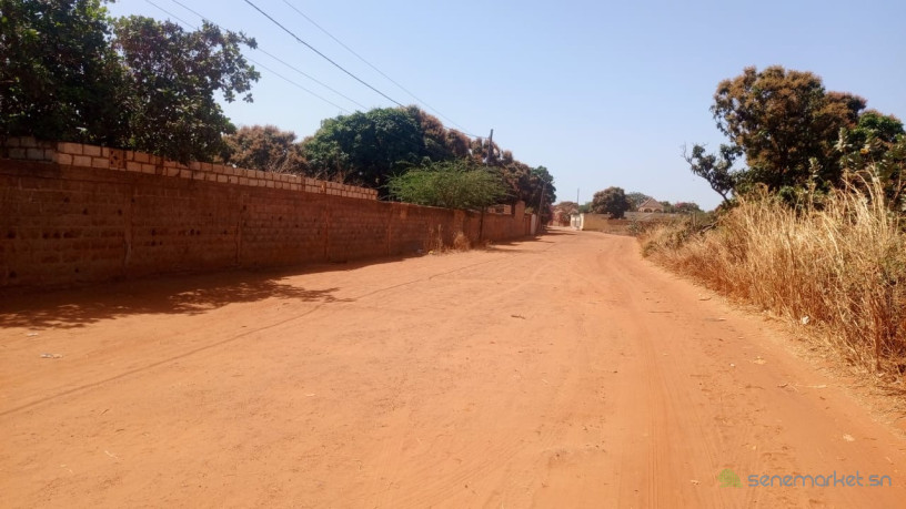 terrain-de-600-metres-carres-a-vendre-a-warang-sn-big-0