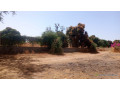 terrain-de-8000-metres-carres-a-vendre-a-warang-senegal-small-2