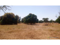 terrain-de-8000-metres-carres-a-vendre-a-warang-senegal-small-0