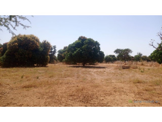 Terrain de 8000 mètres carrés à vendre à warang sénégal