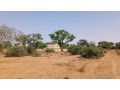 terrains-de-300-metres-2-a-vendre-a-malicounda-sn-small-2