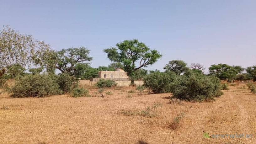 terrains-de-300-metres-2-a-vendre-a-malicounda-sn-big-2