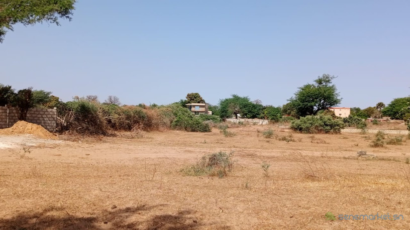 terrains-de-300-metres-2-a-vendre-a-malicounda-sn-big-0