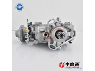 VE Injection pump NJ-VE4/12F1100R1104 n VE Injection pump NPVE4/11F1800LNP2495