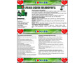 splina-liquide-chlorophylle-small-2
