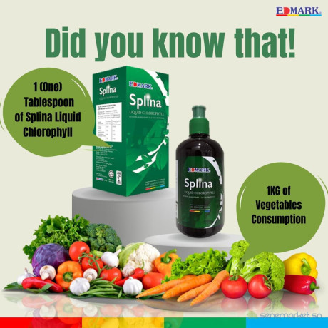 splina-liquide-chlorophylle-big-1