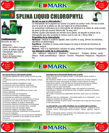 splina-liquide-chlorophylle-big-2