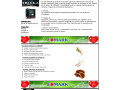 cafe-troika-small-2