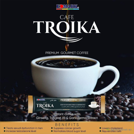 cafe-troika-big-1