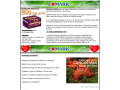 cocollagen-small-2