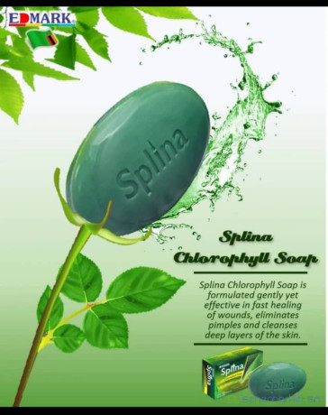 savon-splina-big-1