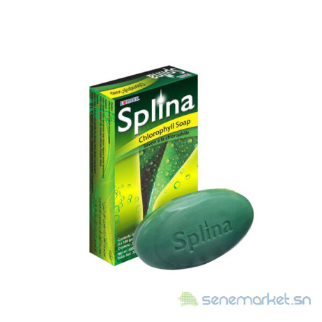 savon-splina-big-0
