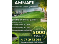 gazon-synthetique-rase-epais-qualite-premium-small-0