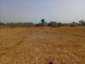 terrain-agricole-de-140-hectare-vers-notto-diobass-thies-small-1
