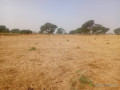 terrain-agricole-de-140-hectare-vers-notto-diobass-thies-small-0