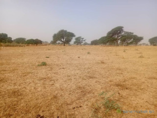 Terrain Agricole de 1,40 Hectare vers Notto Diobass Thiès