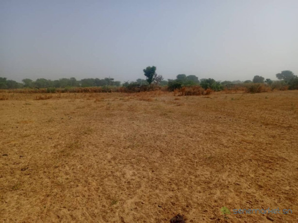 terrain-agricole-de-140-hectare-vers-notto-diobass-thies-big-1