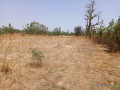 location-terrain-agricole-de-7000-m2-vers-notto-diobass-thies-small-0