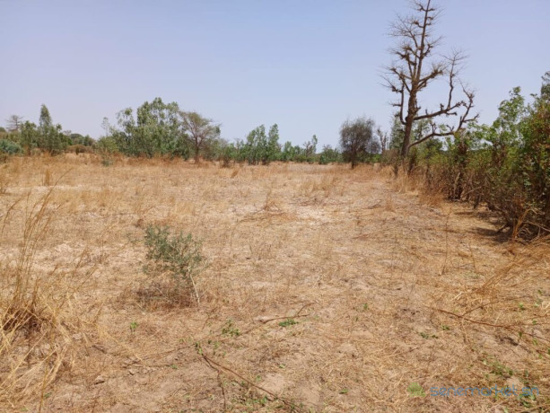 location-terrain-agricole-de-7000-m2-vers-notto-diobass-thies-big-0