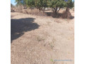 terrain-agricole-de-7500-m2-vers-notto-diobass-thies-small-1