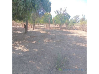 Terrain agricole de 7500 m² vers Notto Diobass Thiés
