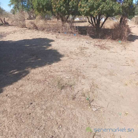 terrain-agricole-de-7500-m2-vers-notto-diobass-thies-big-1