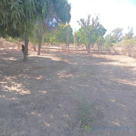 terrain-agricole-de-7500-m2-vers-notto-diobass-thies-big-0
