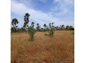 terrain-agricole-de-102-hectare-vers-fadene-thies-small-1