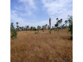 terrain-agricole-de-102-hectare-vers-fadene-thies-small-2