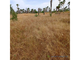 Terrain agricole de 1,02 Hectare vers Fadéne-Thiès