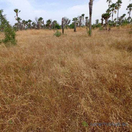 terrain-agricole-de-102-hectare-vers-fadene-thies-big-0