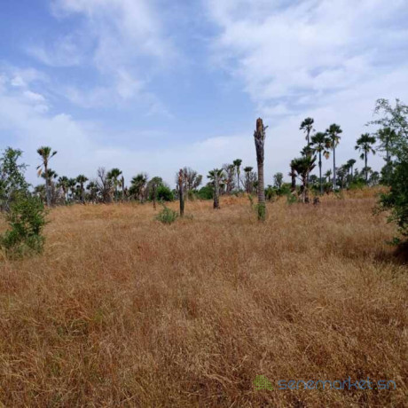 terrain-agricole-de-102-hectare-vers-fadene-thies-big-2