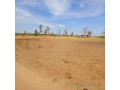 terrain-agricole-de-3-hectares-vers-nguekhokh-mbour-small-1