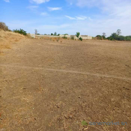terrain-agricole-de-3-hectares-vers-nguekhokh-mbour-big-0